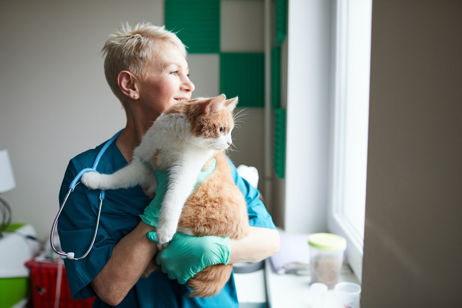 happy-vet-doctor-with-cat.jpg happy-vet-doctor-with-cat.jpg